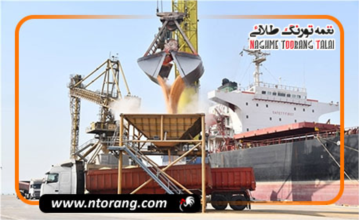 محموله ذرت بخش خصوصی برای تأمین نهاده‌های دامی وارد مرحله بارگیری شد